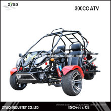 300cc Trike ATV / UTV / Go Kart 2016 Les plus récents 3 Wheers Trike Quad